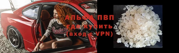 трава Аркадак