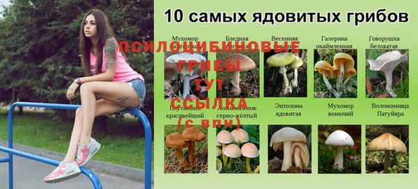 дживик Алексин