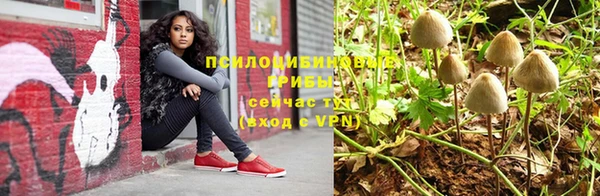 а пвп мука Алексеевка