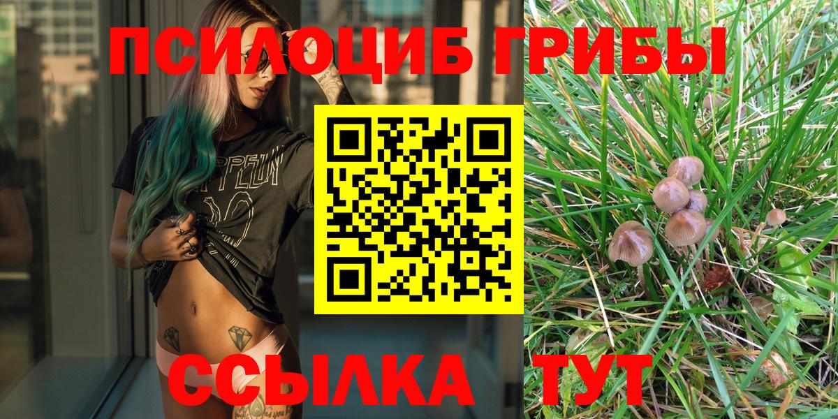 Галлюциногенные грибы MAGIC MUSHROOMS  Псилоцибиновые грибы Psilocybe  Куйбышев  Вход с VPN 